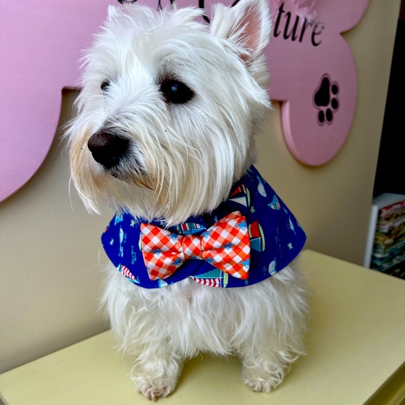 BOWTIE CAPES - Picture 1 of 6